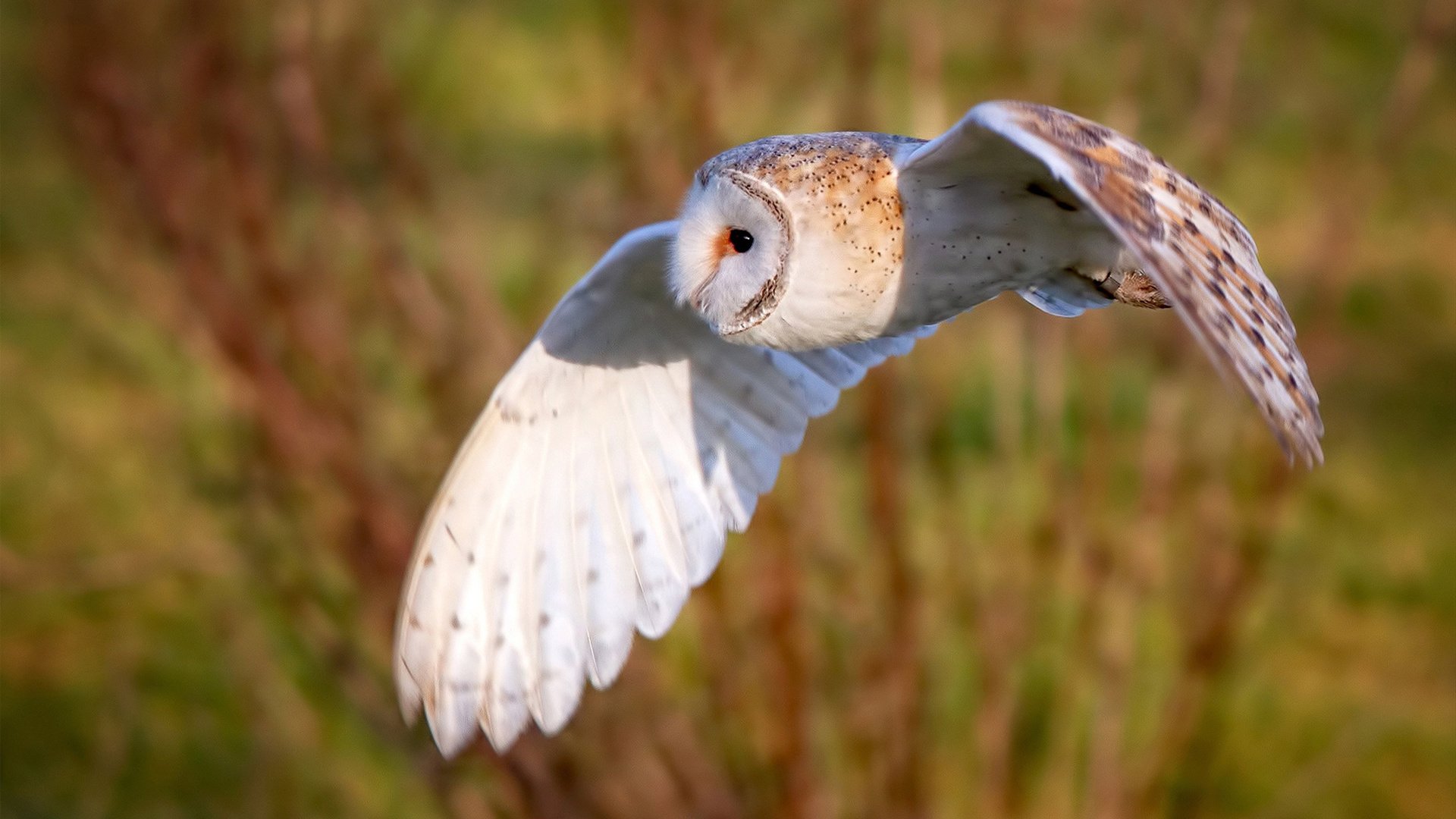 《关于体育促进铸牢中华民族共同体意识的指导意见》发布，推动体育事业发展