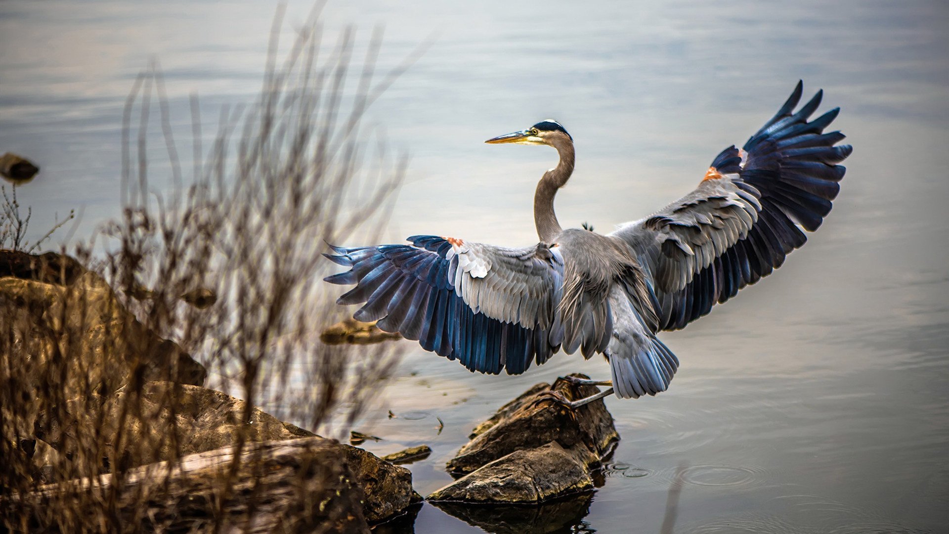 各地足球文化节掀起全民运动新高潮，足球文化节标语